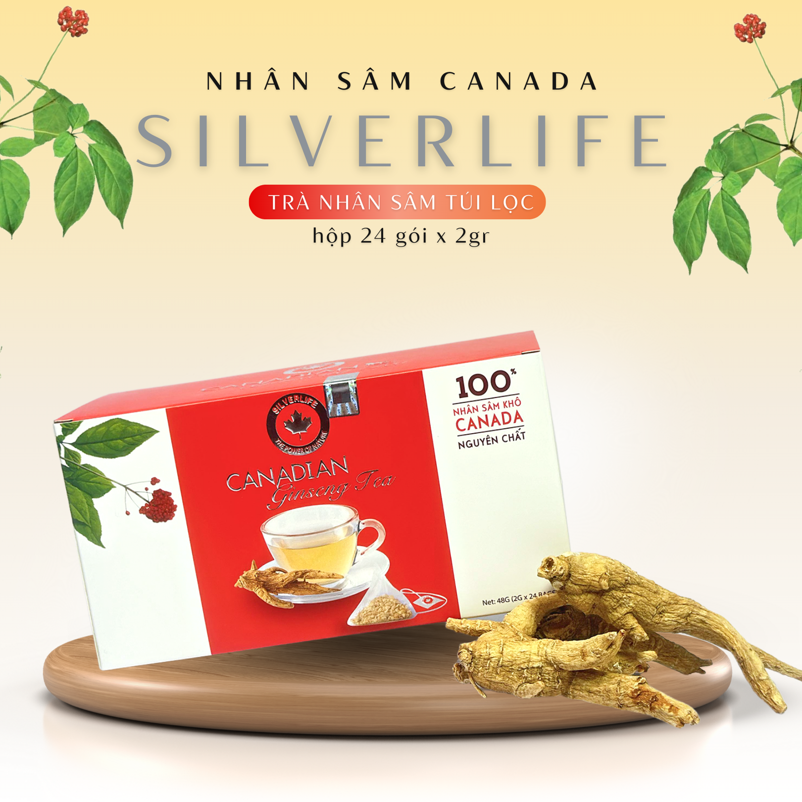 Trà nhân sâm Canada SilverLife hộp 24 gói 48g - 100% nhân sâm Canada tự nhiên nguyên chất - Giúp giải nhiệt, tăng cường sức khoẻ