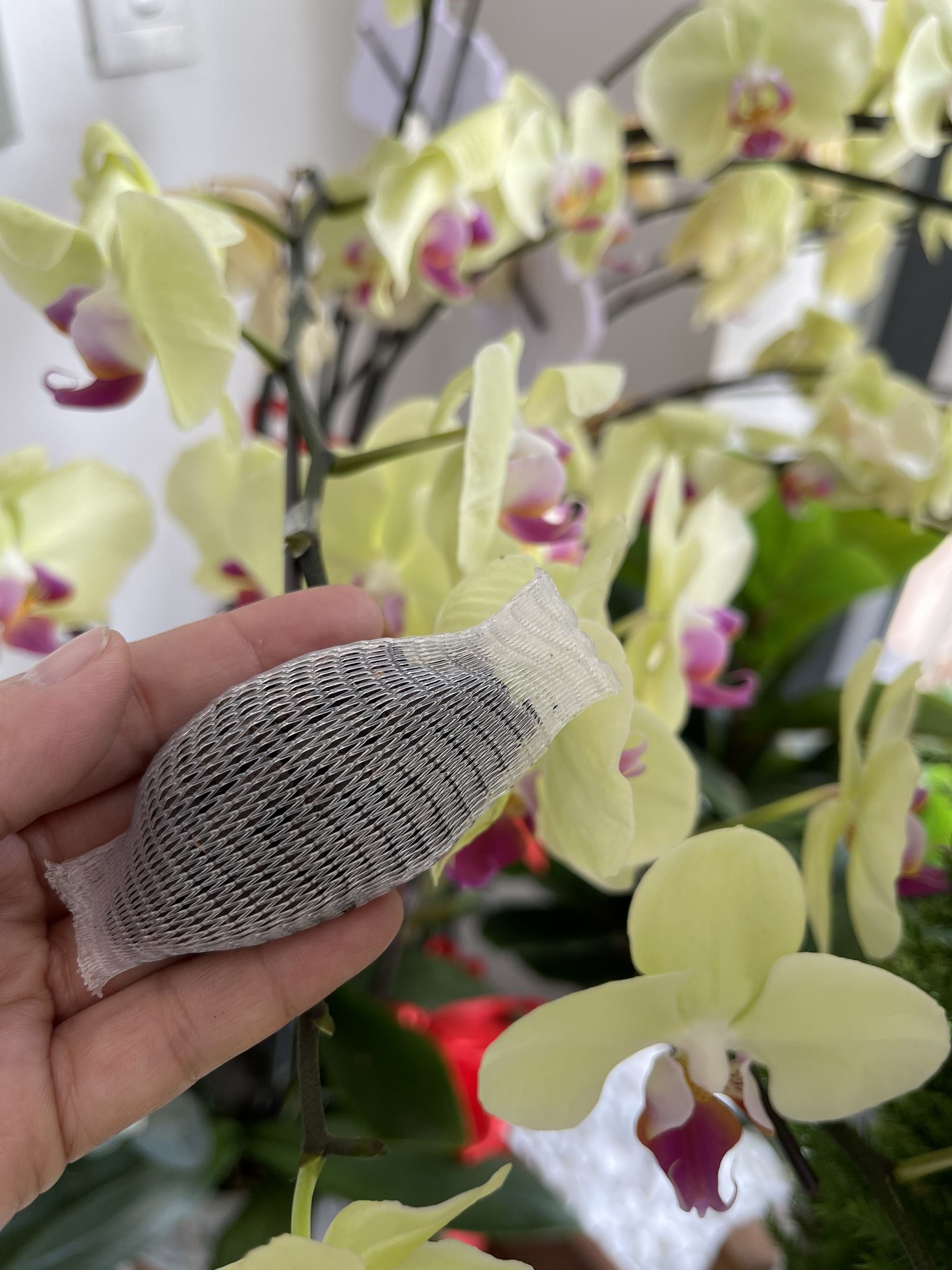 Phân Hữu Cơ Bounce Back Túi Lọc gói 200gram 18 túi