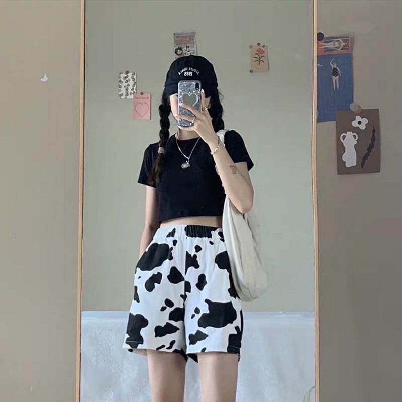 Quần đùi bò sữa