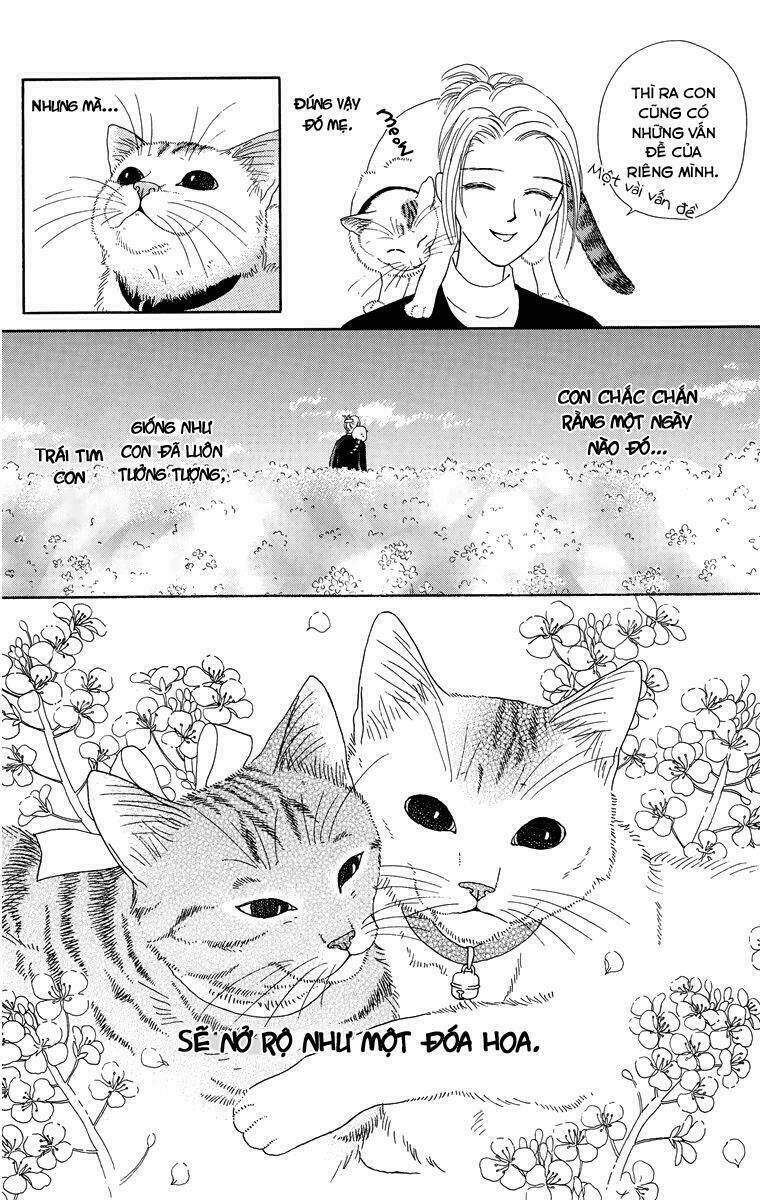 cuộc sống thường nhật của mèo zaccho chapter 1 16