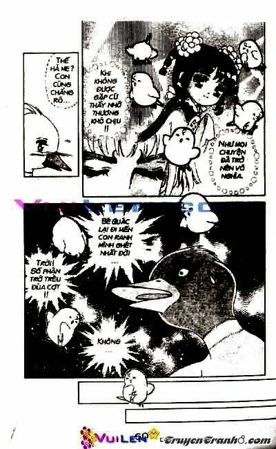 đóa hoa yêu kiều chapter 4 61