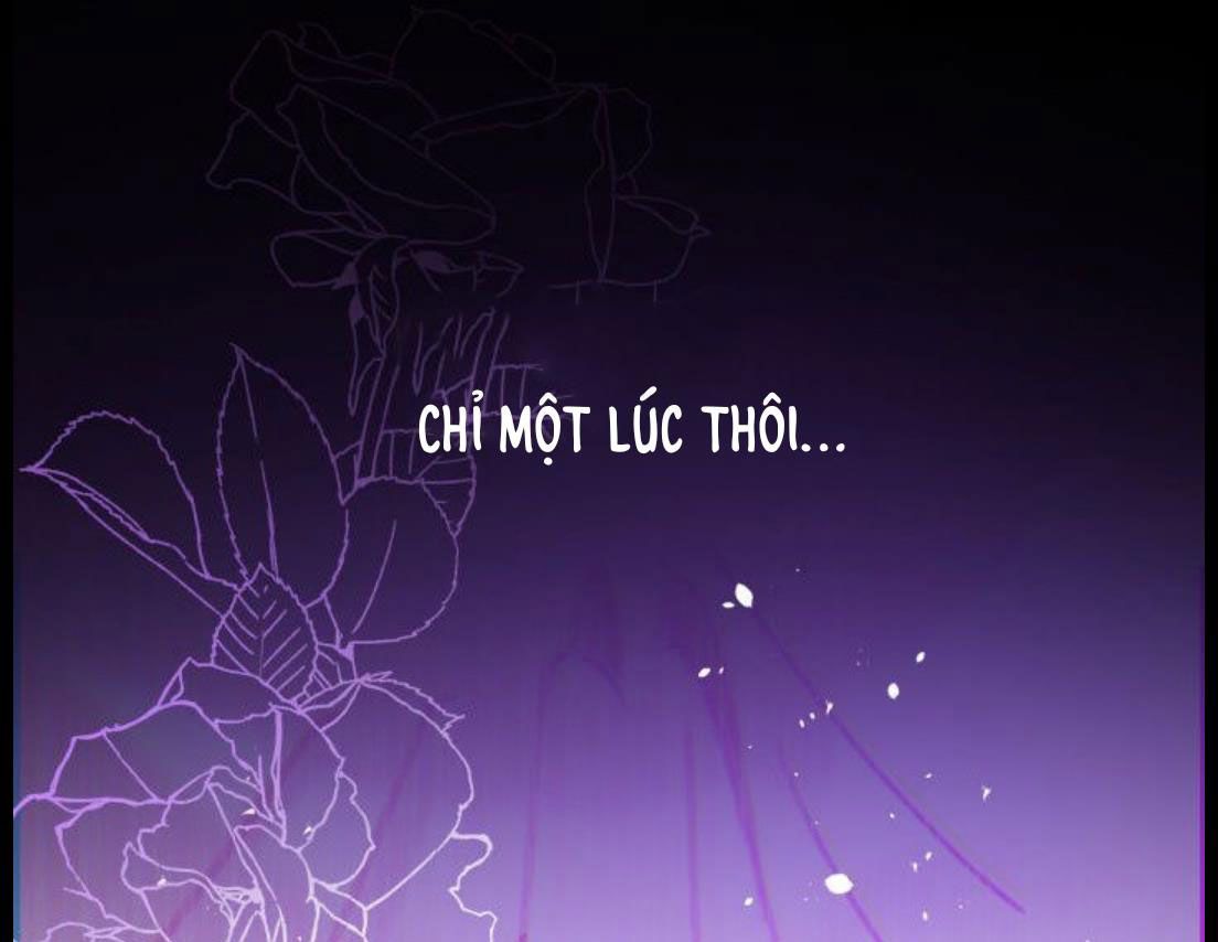 quý cô không thể chạm vào chapter 1 59