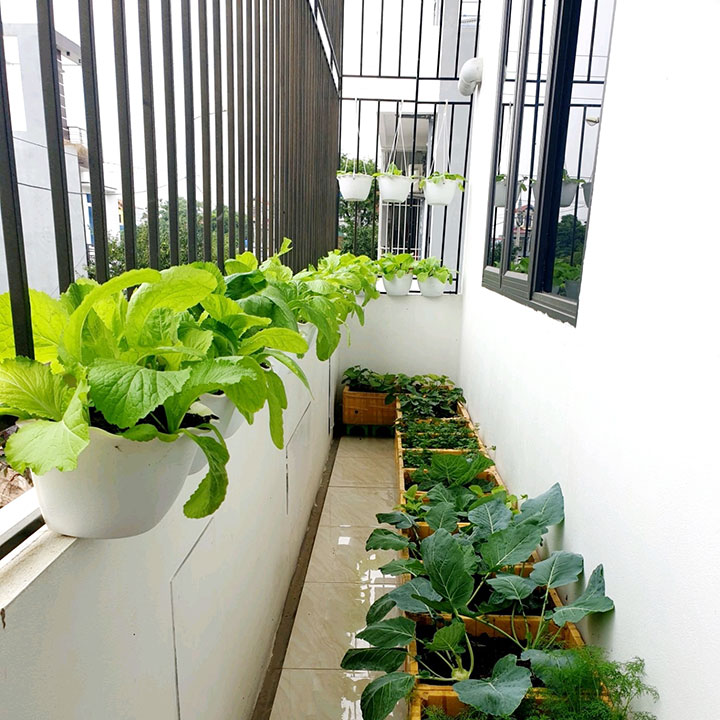 10 chậu hoa ốp tường viền tim - màu trắng