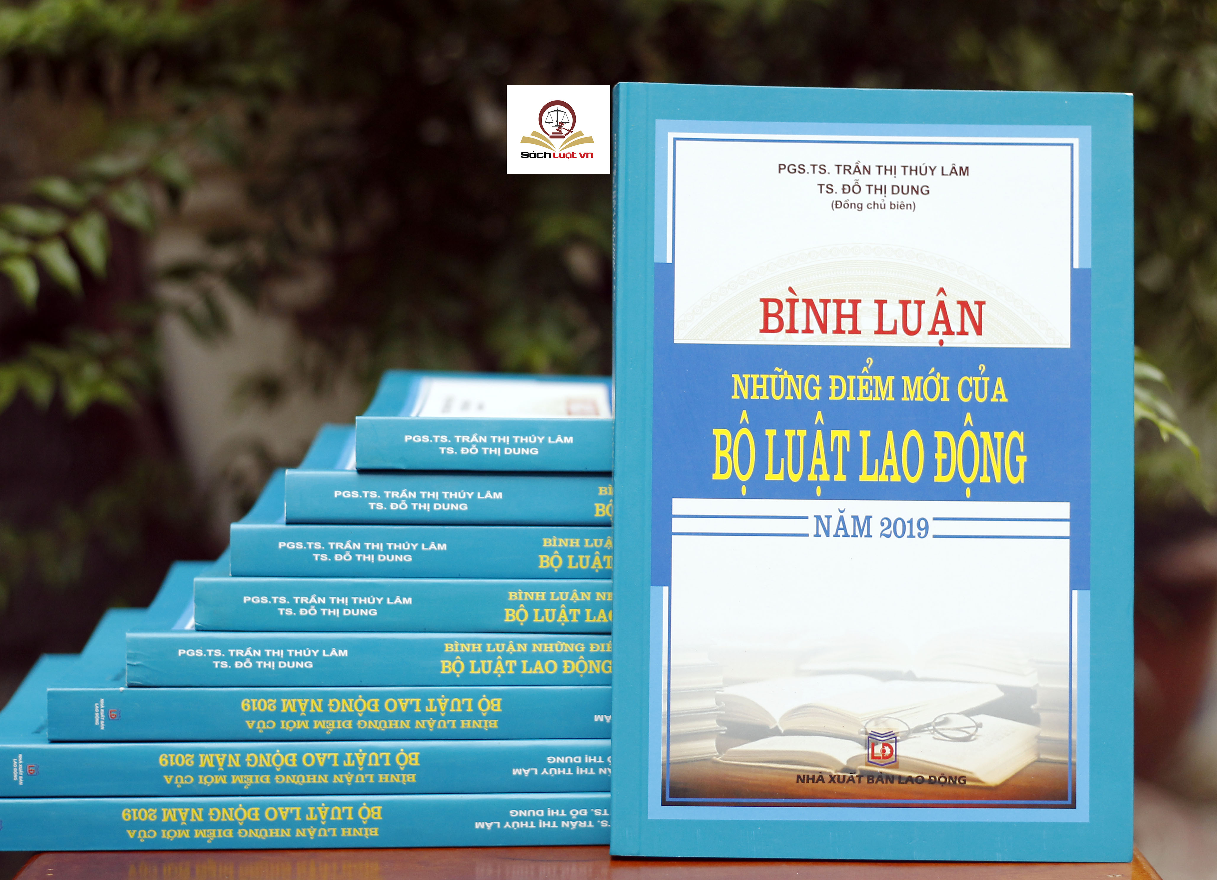 Bình Luận Những Điểm Mới Của Bộ Luật Lao Động Năm 2019