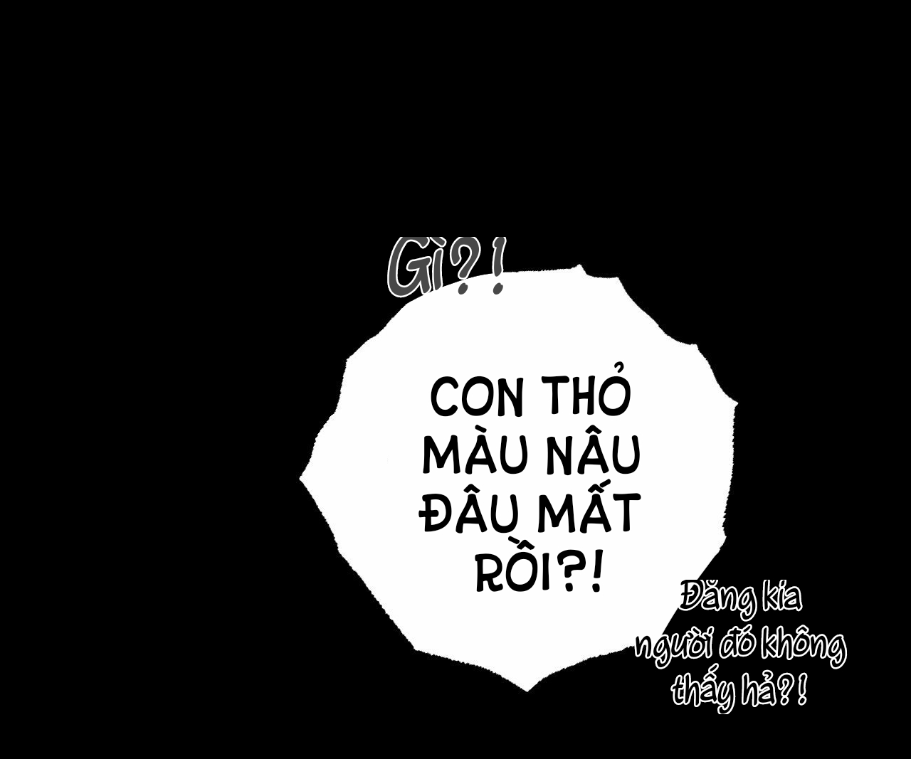 những chú thỏ của hapypy chapter 45 80