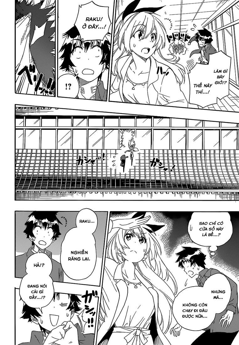 nisekoi - tình yêu giả tạo chapter 186 6