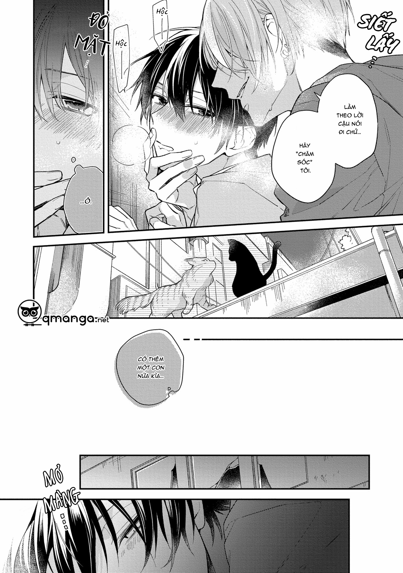 mèo con ở ngõ sau chapter 1 13