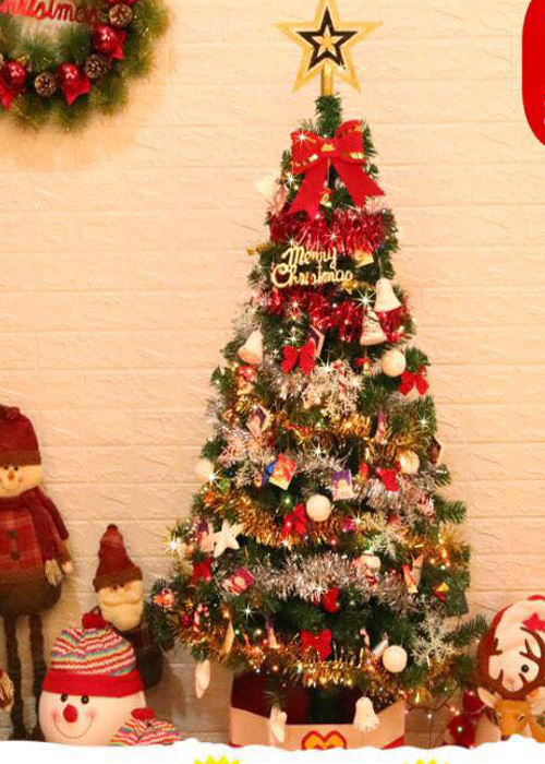 Cây thông noel cây thông giáng sinh 1.5m QX202