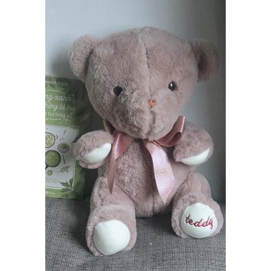 Gấu bông Teddy đeo nơ cao cấp mẫu mới nhất 2022
