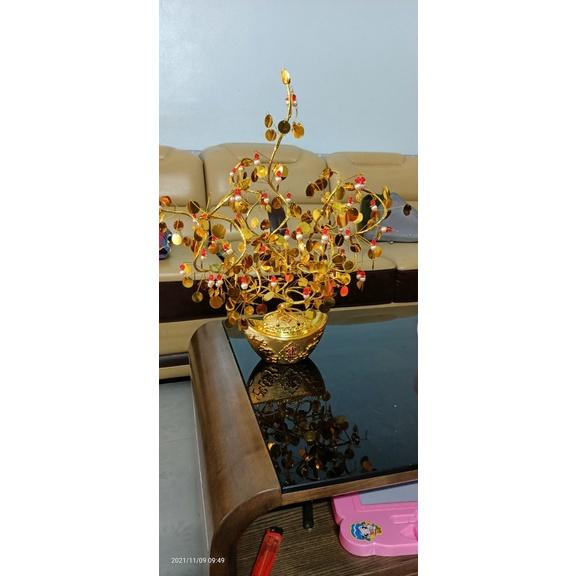 Cây Vàng Lá Ngọc Phong Thủy M4 cm