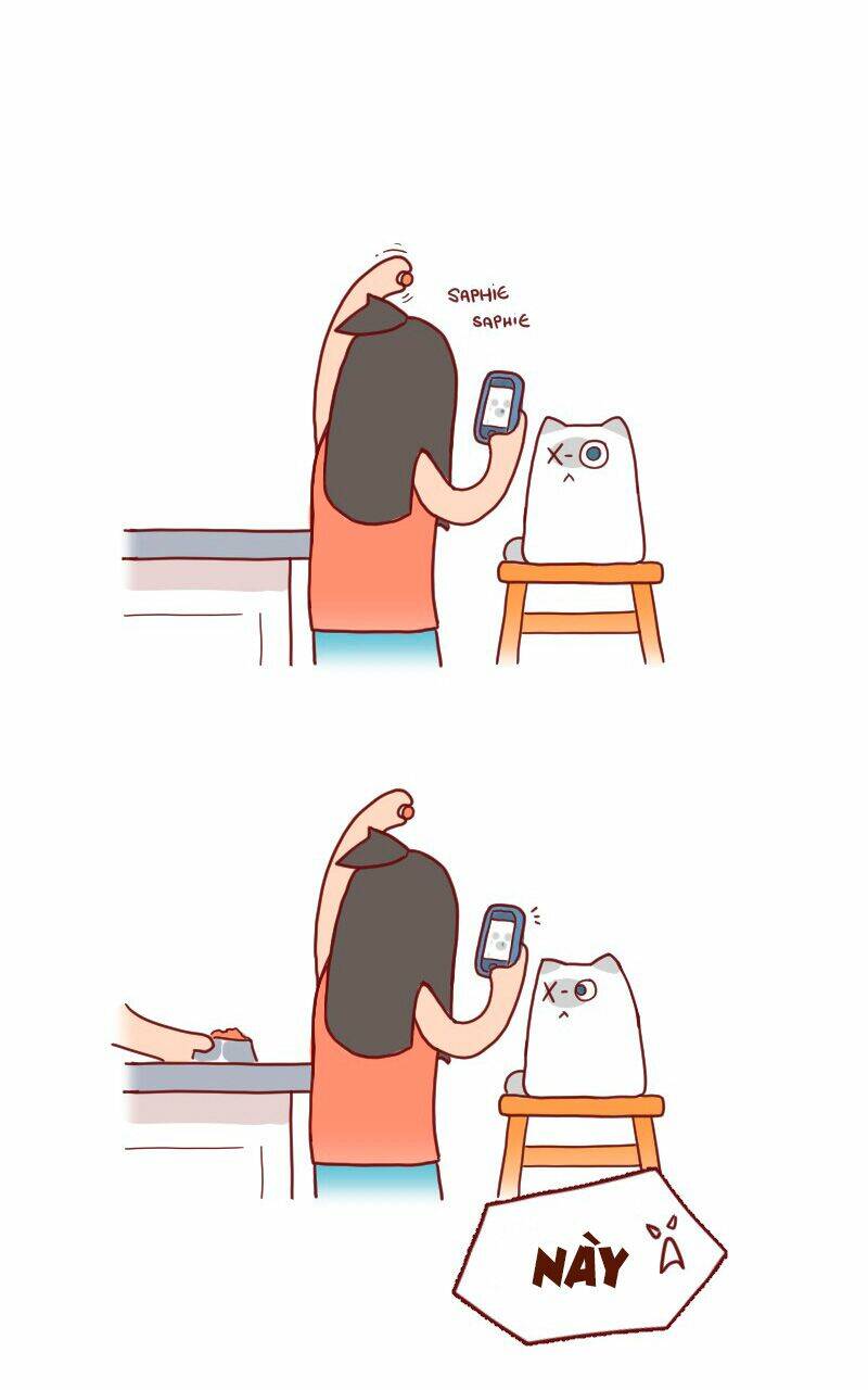 saphie: chú mèo một mắt chapter 20 3