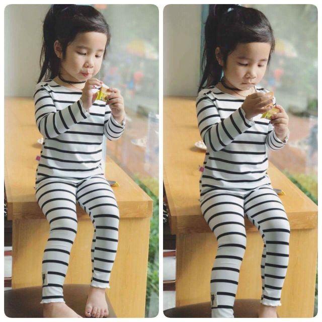 Bộ cotton bé gái