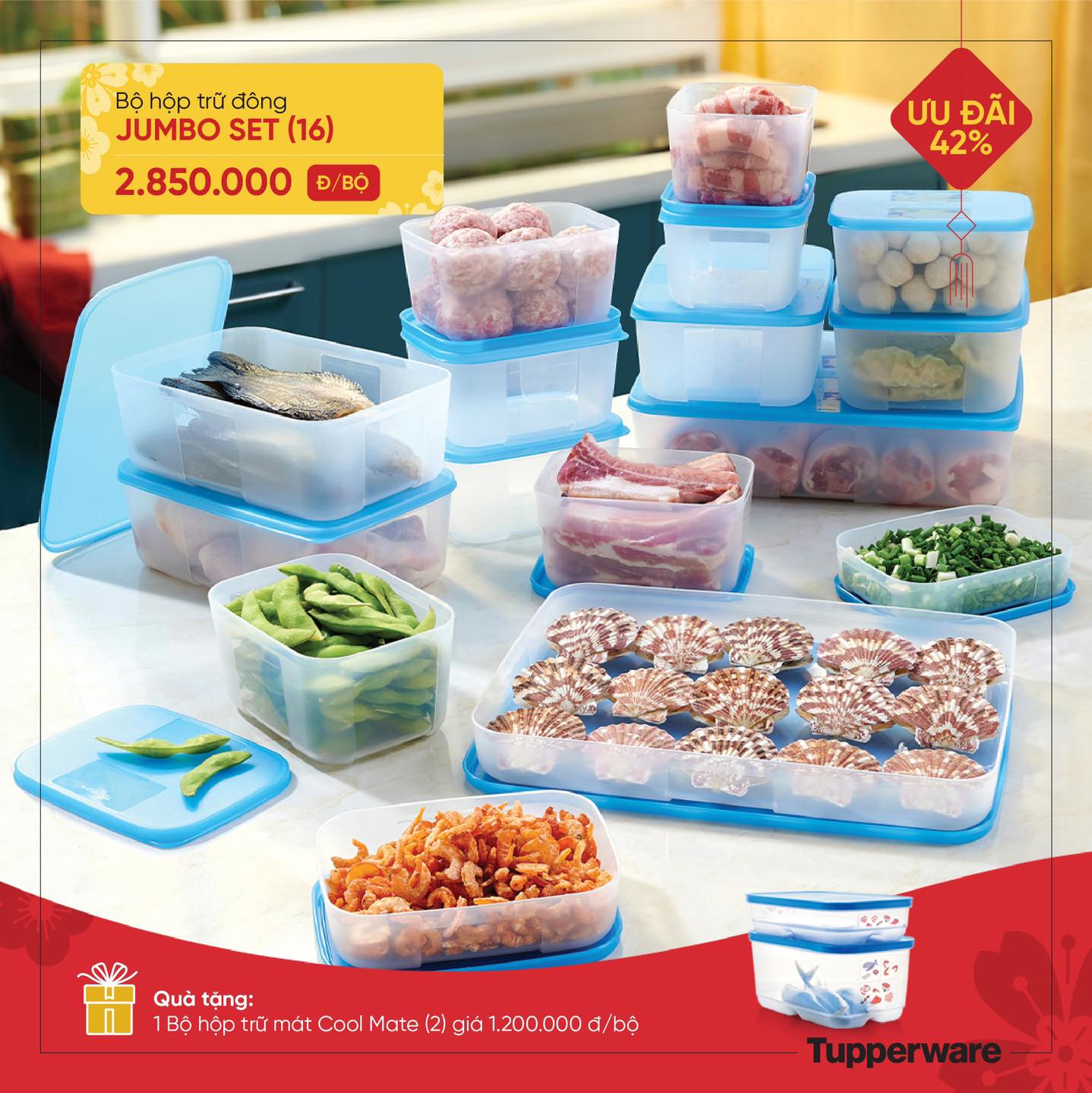 Bộ Hộp Trữ Đông Freezermate Jumbo Set 16 + Quà Tặng 1 Bộ Trữ Mát Cool Mate