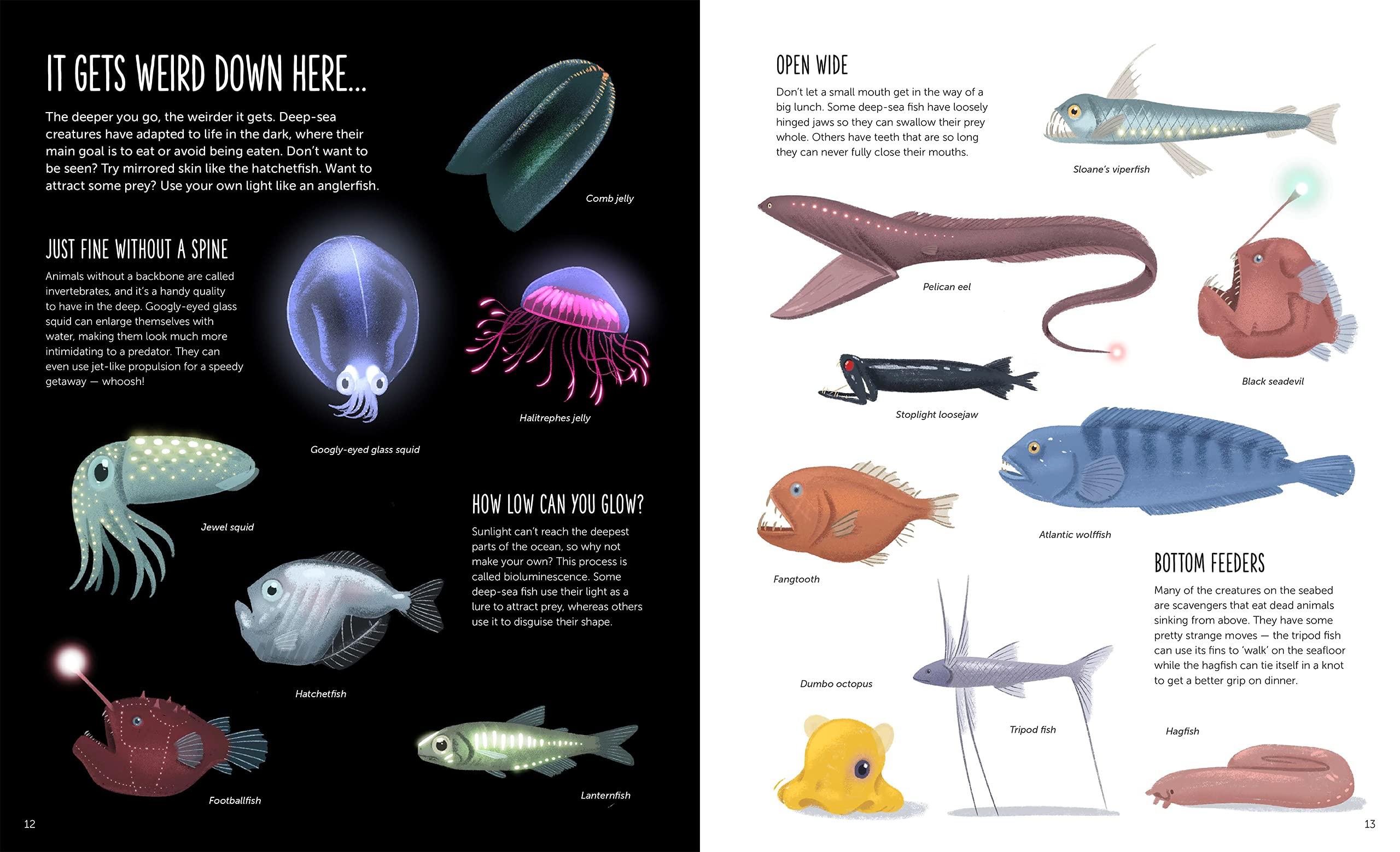 Deep: Dive Into Hidden Worlds