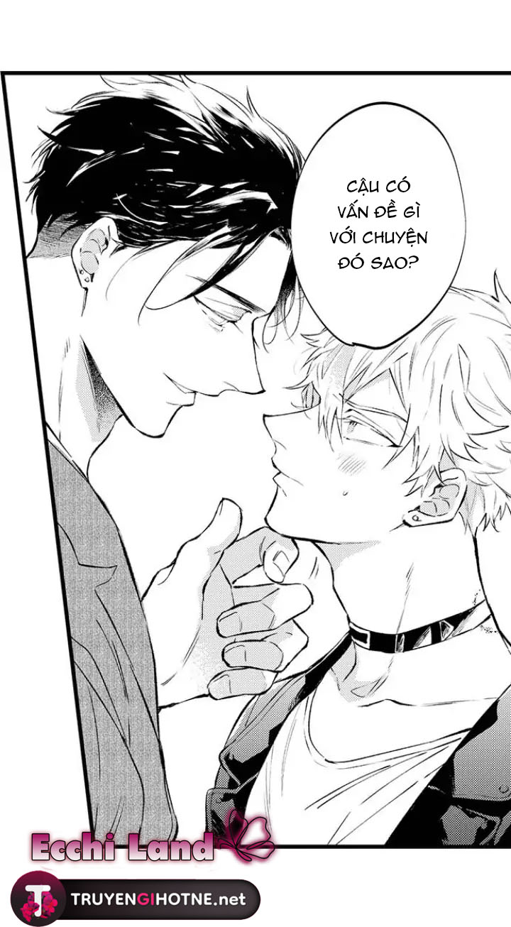 Hãy Ly Hôn Đi, Ngài Alpha chapter 2.2 - Trang 12