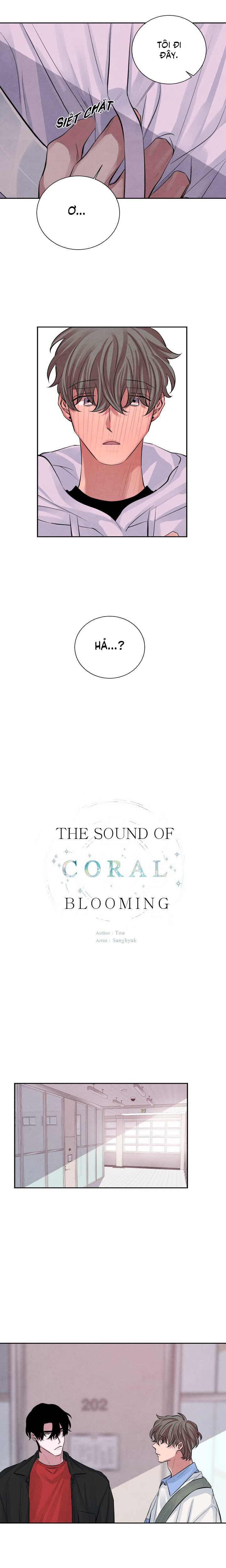 âm thanh của san hô chapter 10 5