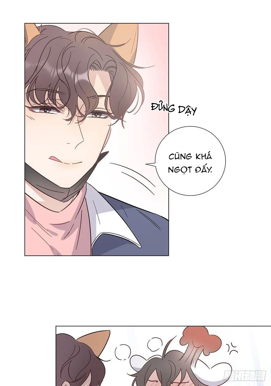 hôm nay nam giả trang nữ vẫn chưa được cầu hôn! chapter 64 26