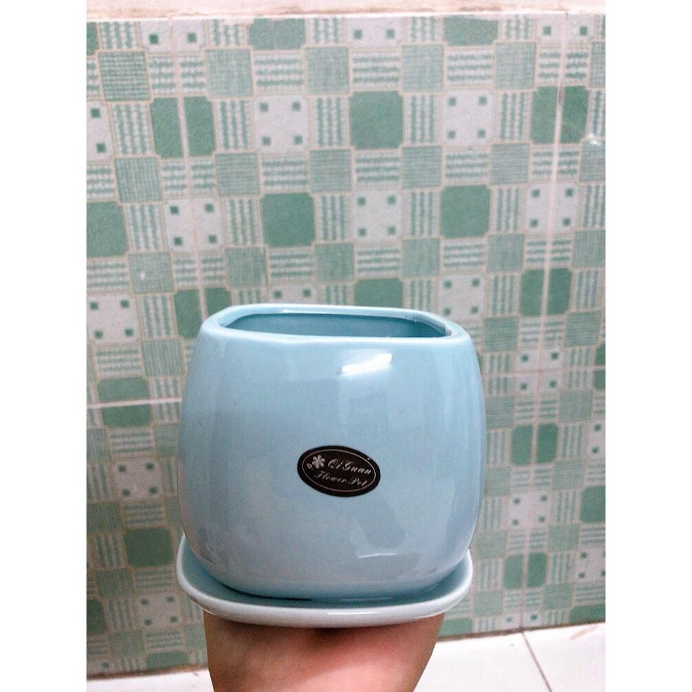 Cây Cau Tiểu Trâm Kèm Chậu Sứ