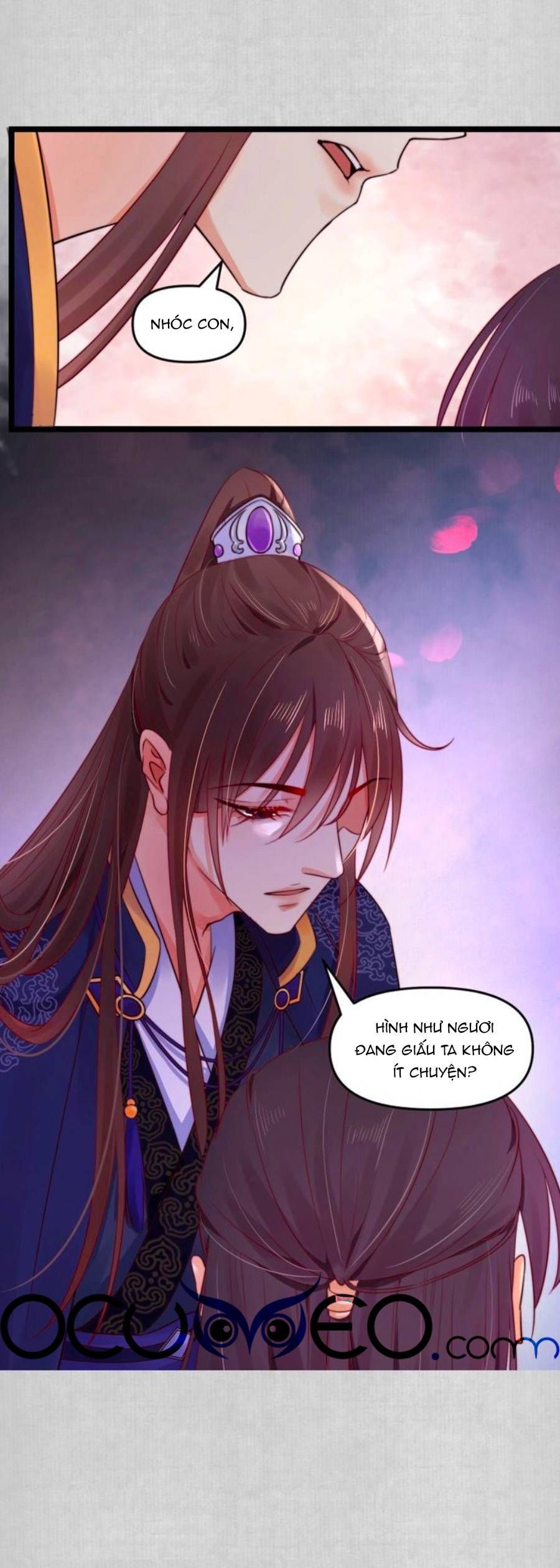 hoạn phi hoàn triều chapter 13 11