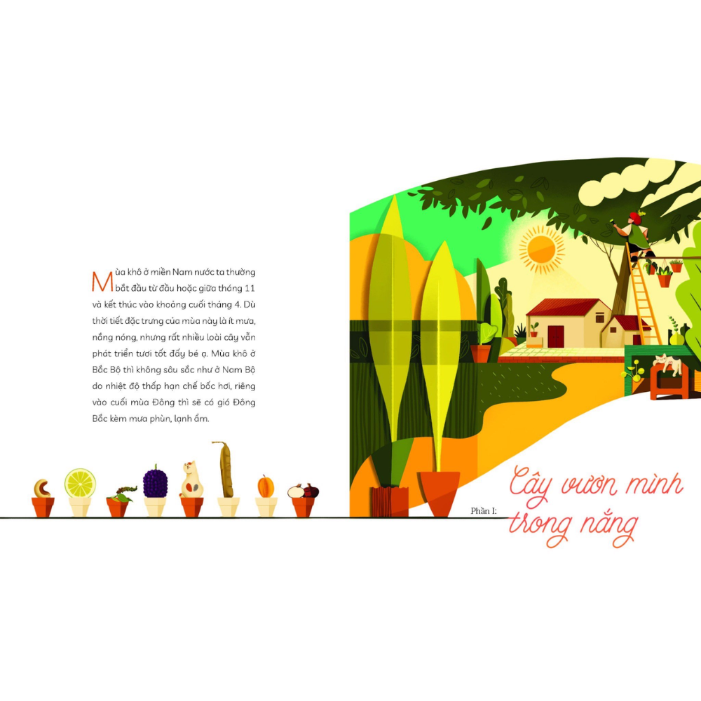 Cây Nhà Lá Vườn Khám Phá Thế Giới Cây Trái Việt Nam Đa Dạng Phong Phú