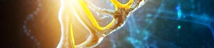 học cùng em gái, tôi bất cẩn vô địch rồi chapter 198 27