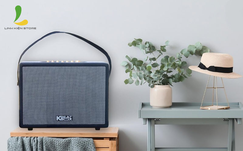 Loa kéo Acnos CS270 - Loa karaoke di động thùng gỗ kết nối bluetooth tặng kèm micro không dây - Hàng nhập khẩu