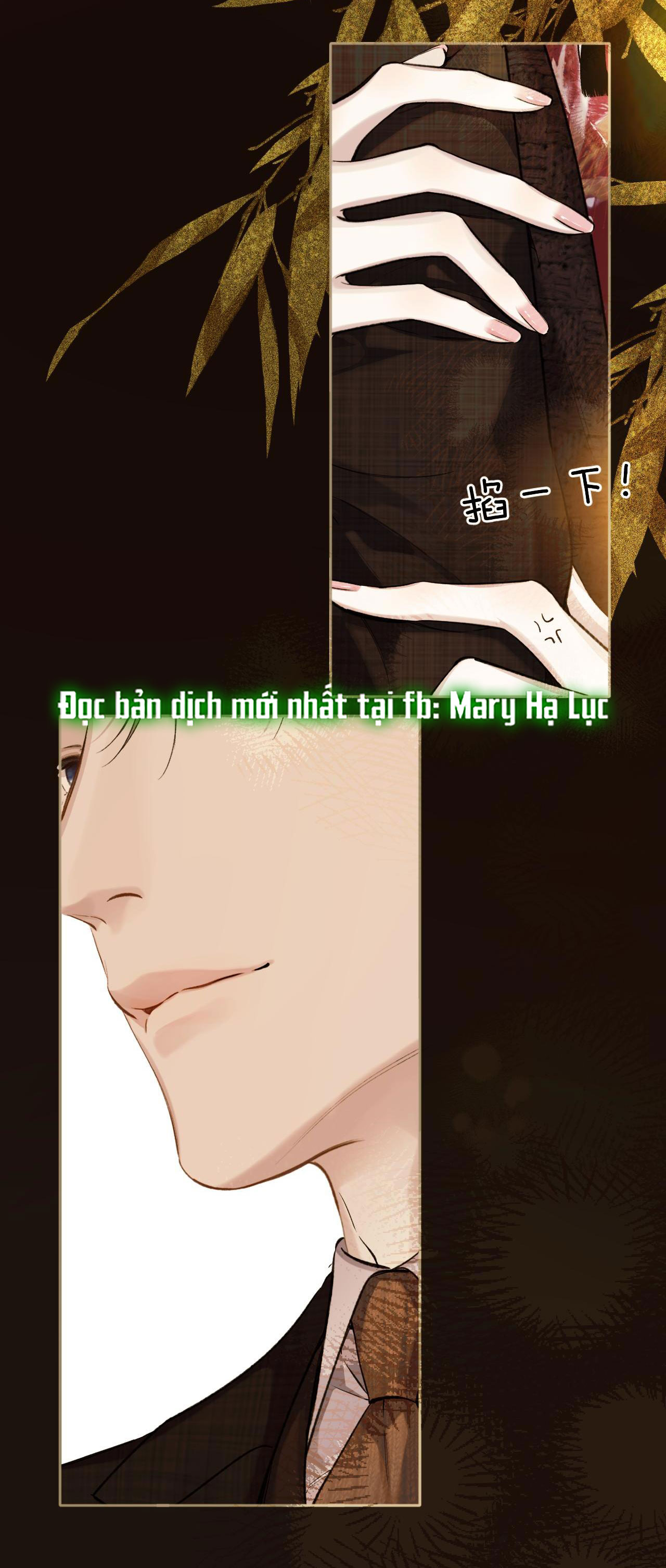 Trêu Nhầm chapter 26.2 4