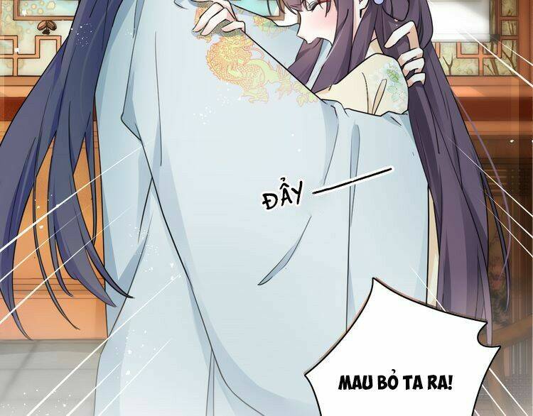 hoa nhan sách chapter 11.1 12