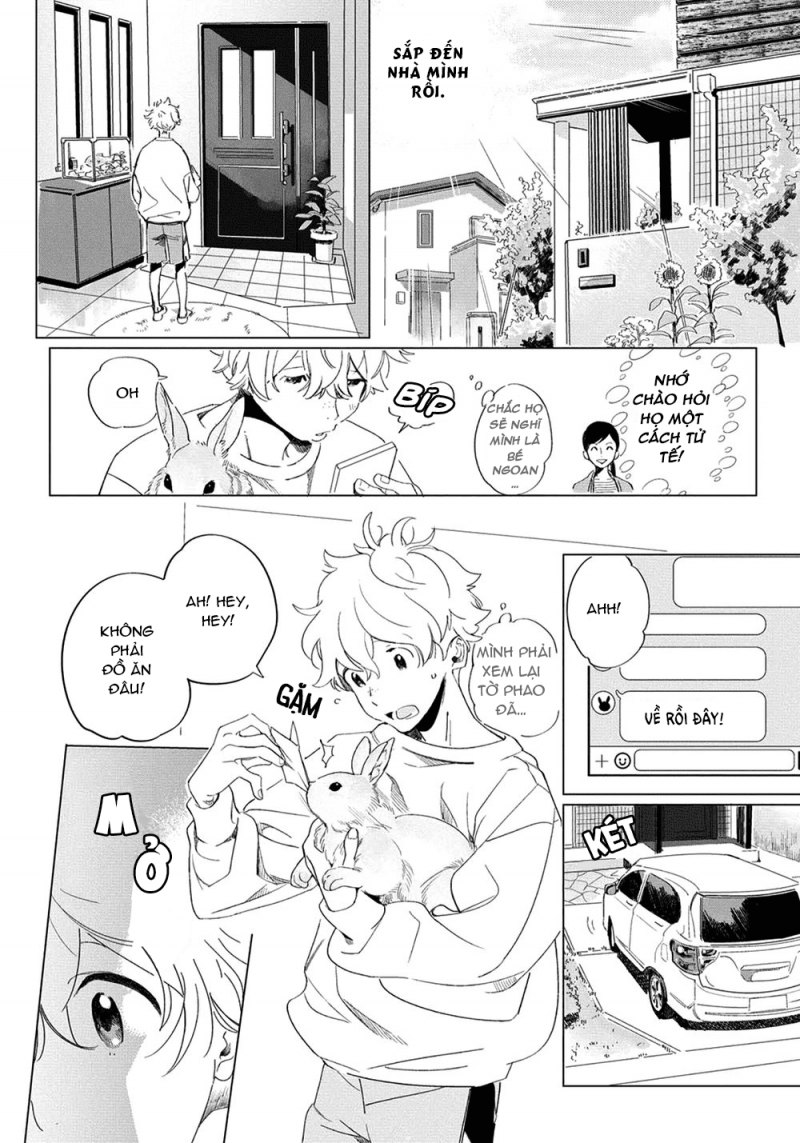 đất nước của những chú sư tử chapter 1 11