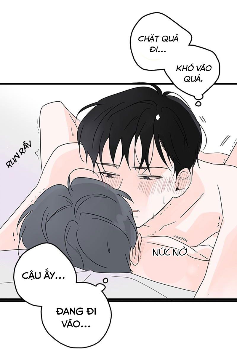 tình cờ yêu (full) chapter 5 22