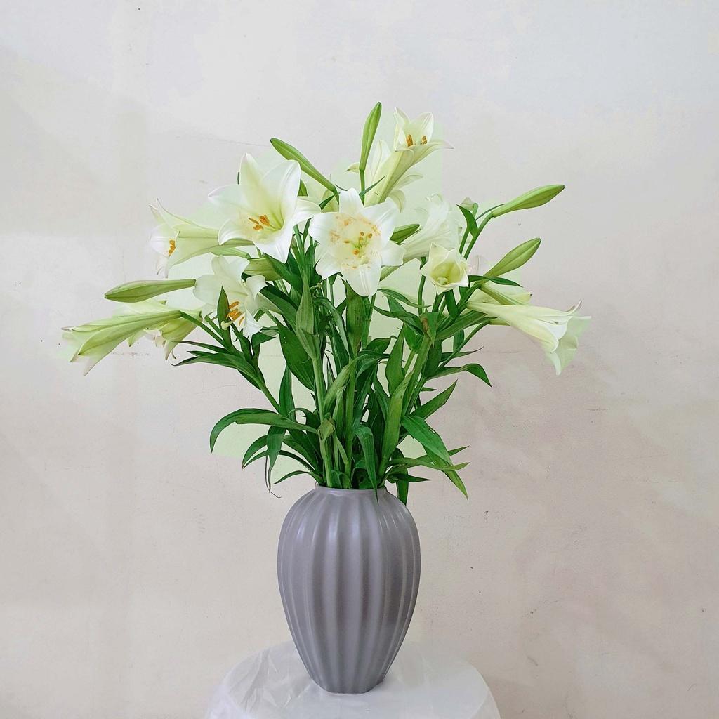 Lọ hoa Bát Tràng cao 30 cm cỡ to - Bình hoa decor trang trí gân sọc màu pastel