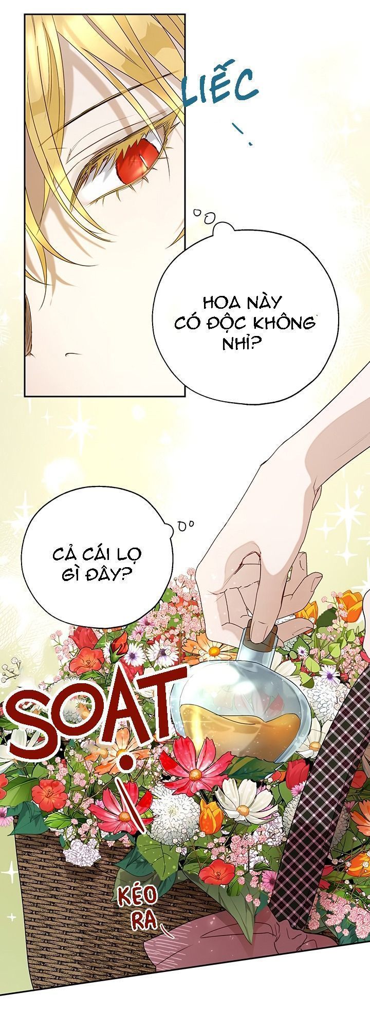 cách để cứu rỗi anh trai của nữ chính chapter 19 26