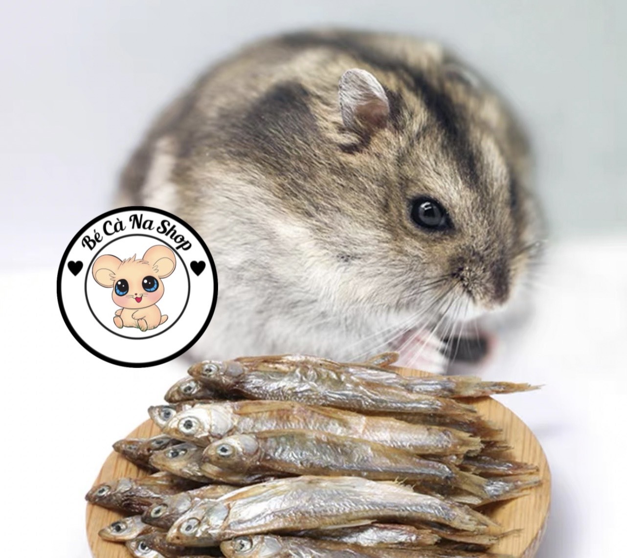 Cá khô hamster . Thức ăn cho hamster , thỏ , bọ ,sóc ...