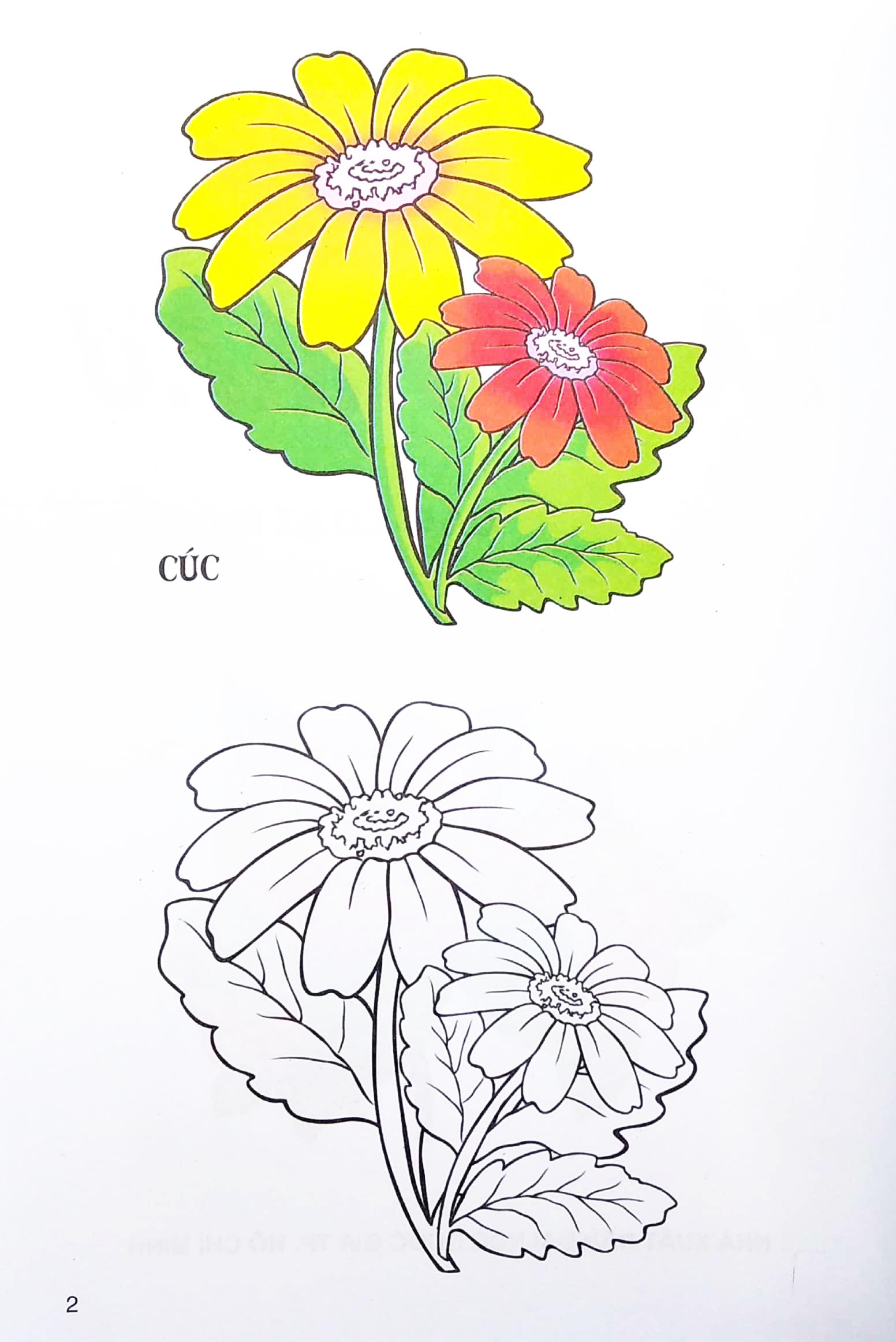 Sách - Tập Tô Màu - Các Loại Hoa