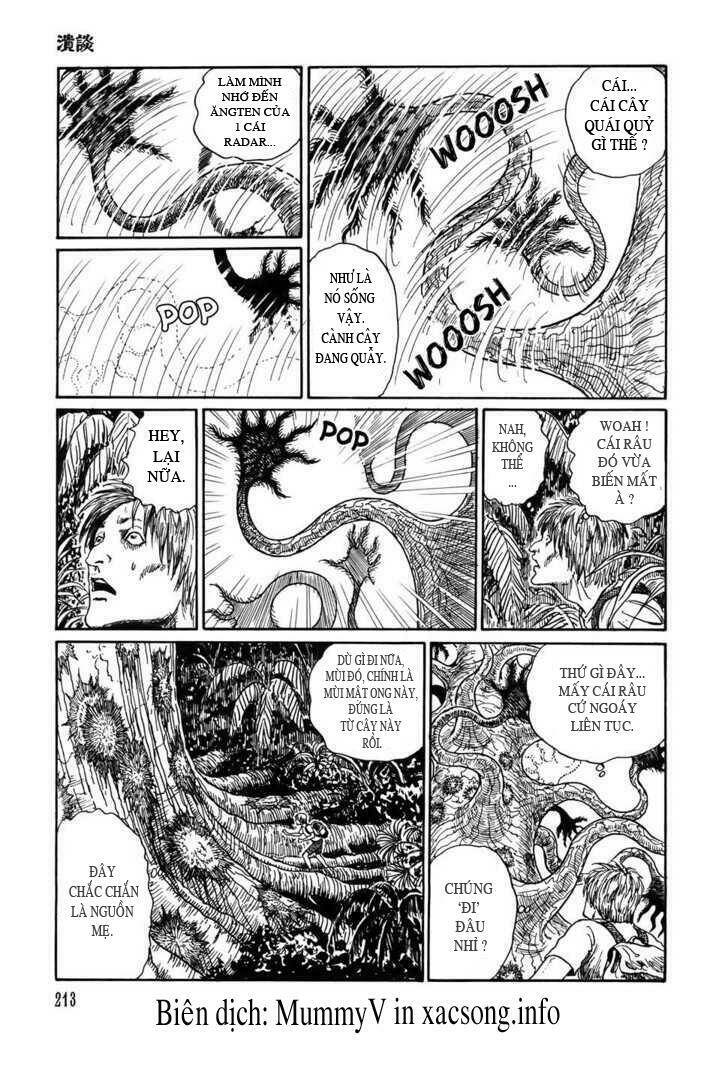 new voices in the dark chapter 7 31