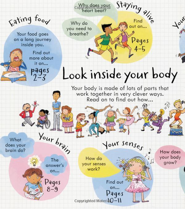 Usborne Look inside Your Body