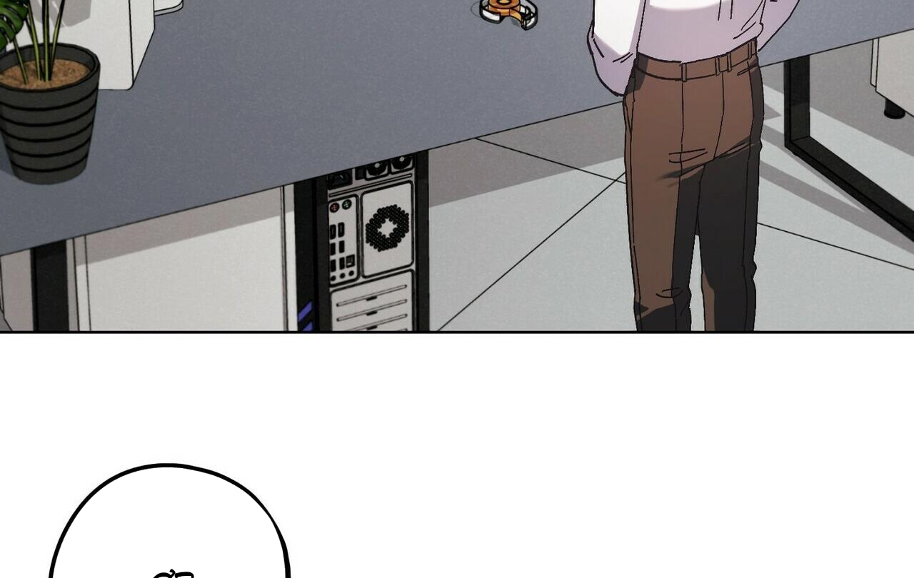 chàng dâu nhà họ kang chapter 28 142