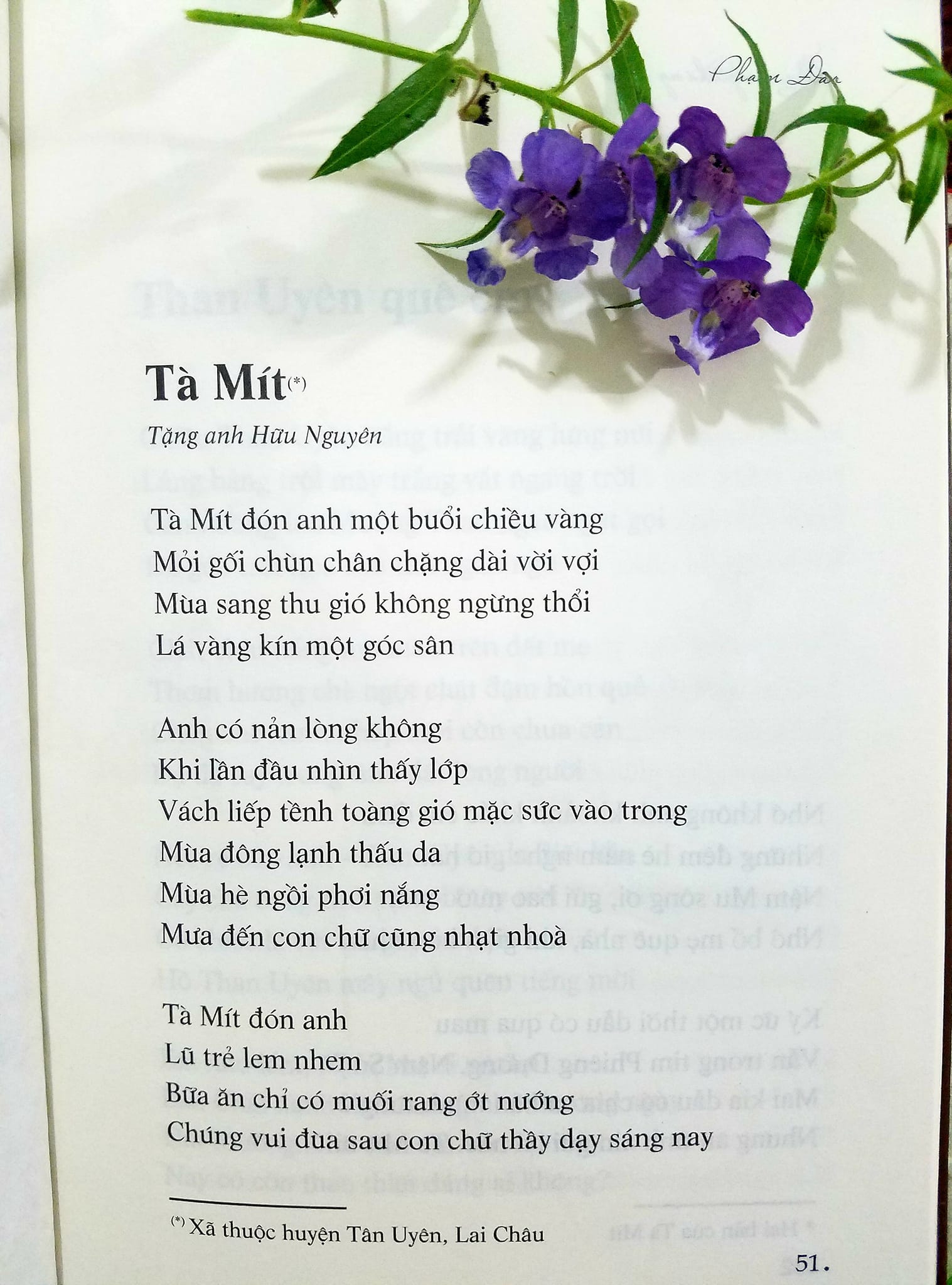 Mơ cùng tháng chạp