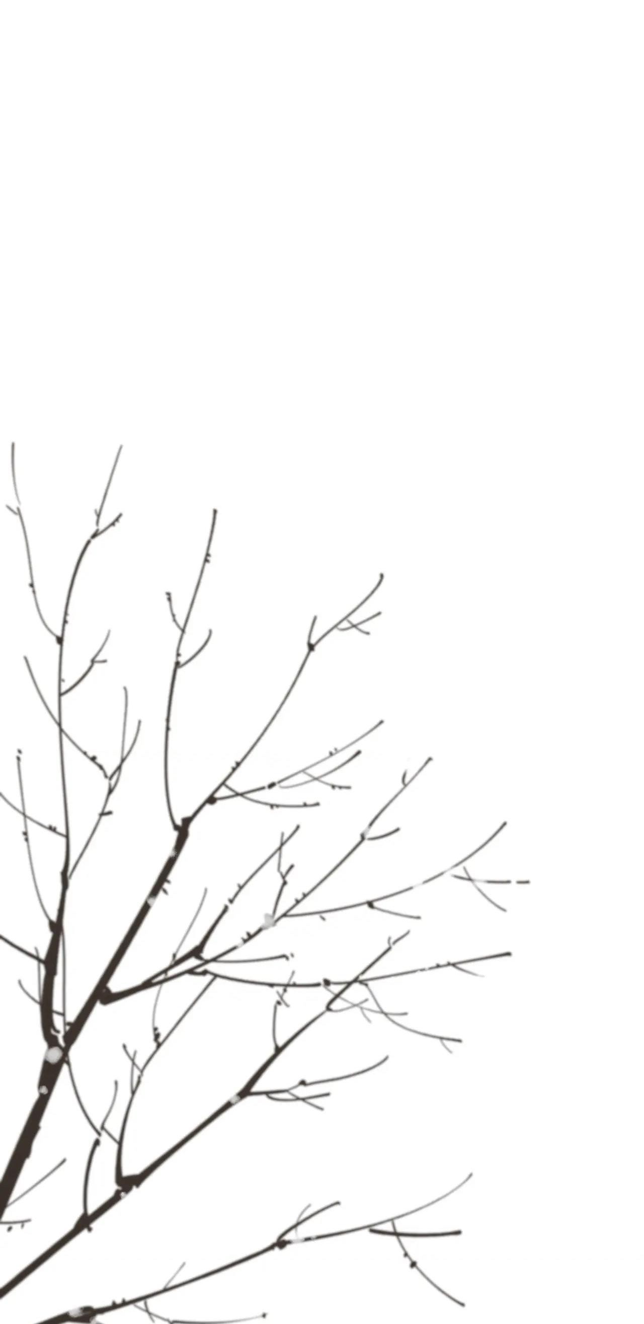 ác nữ cự tuyệt nam chính chapter 105 22