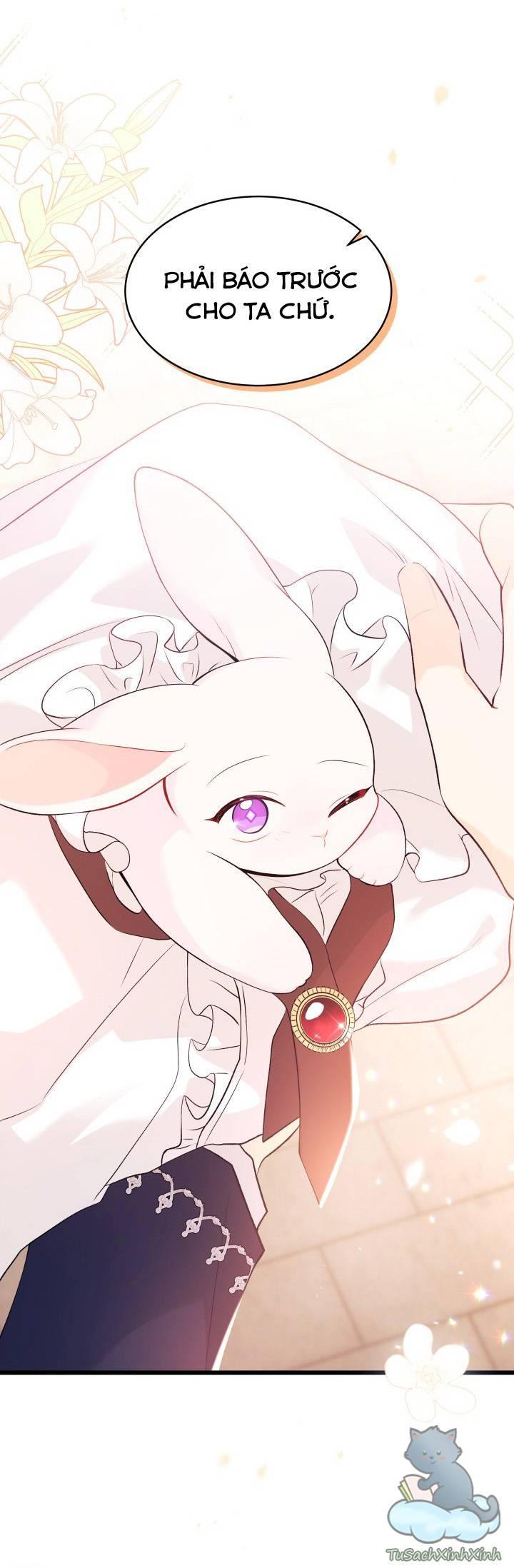 quan hệ cộng sinh giữa báo đen và thỏ trắng chapter 44 71