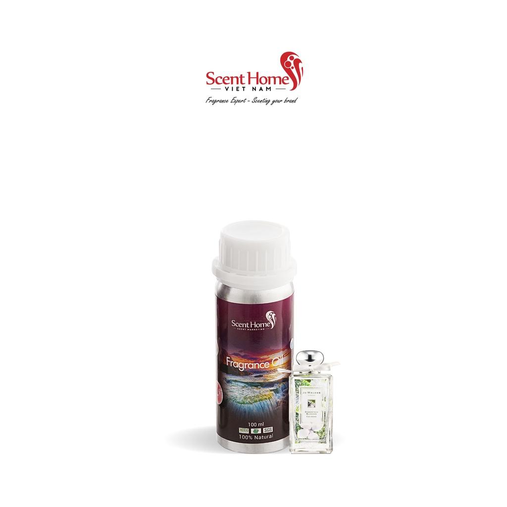 Tinh dầu Scent Homes - mùi hương