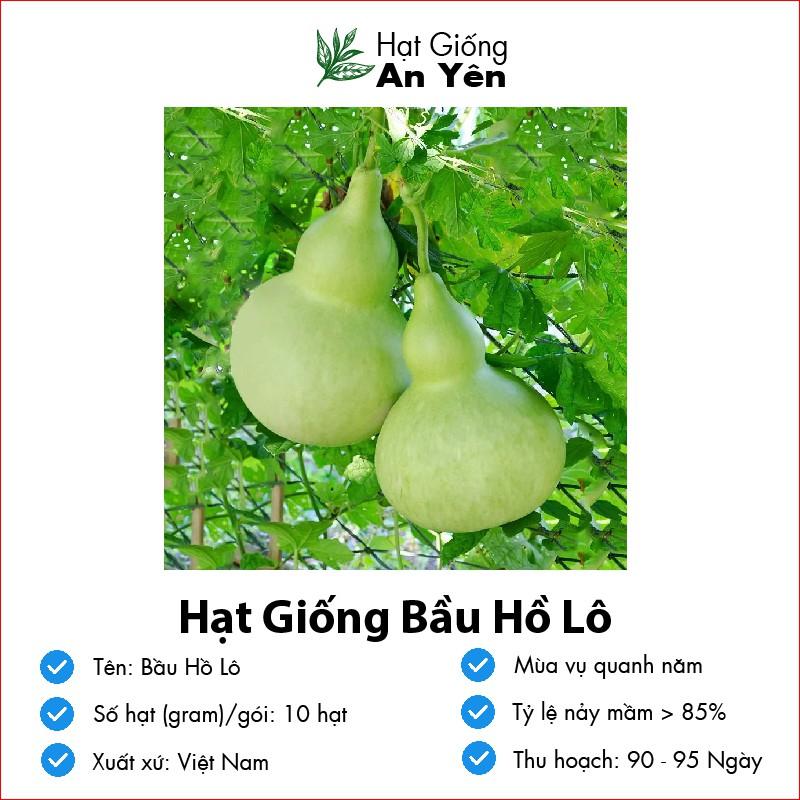 Hạt giống Bầu Hồ Lô thu hoạch sớm, dễ trồng, nảy mầm cao, sinh trưởng khoẻ