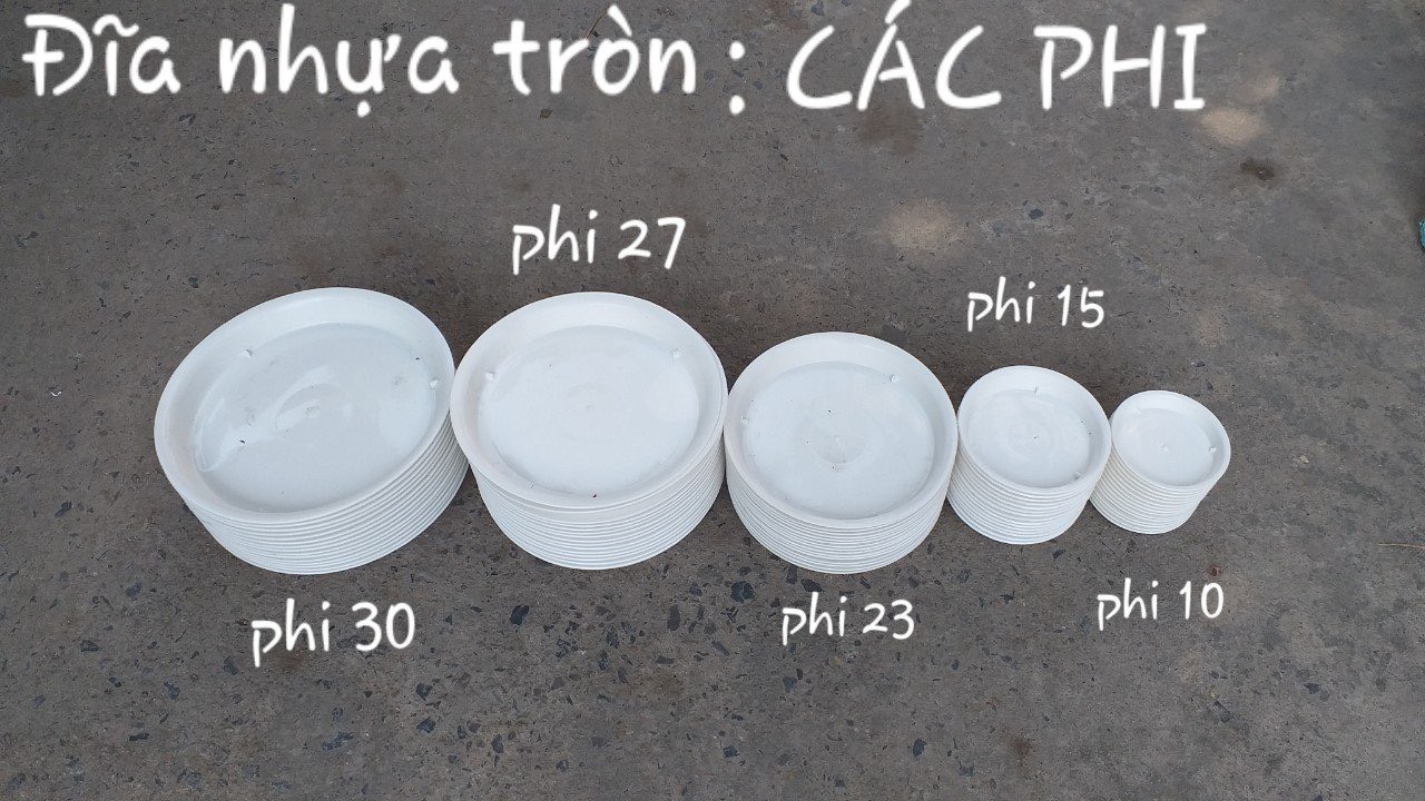 Đĩa Nhựa Lót Chậu Cây - Khay Lót Chậu Cây Cảnh Đẹp - Full Size Kích Thước