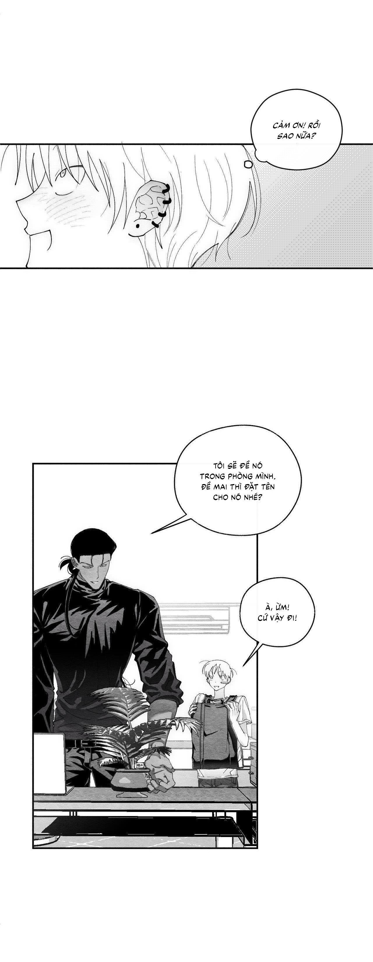 vóc dáng toàn mỹ chapter 24 24