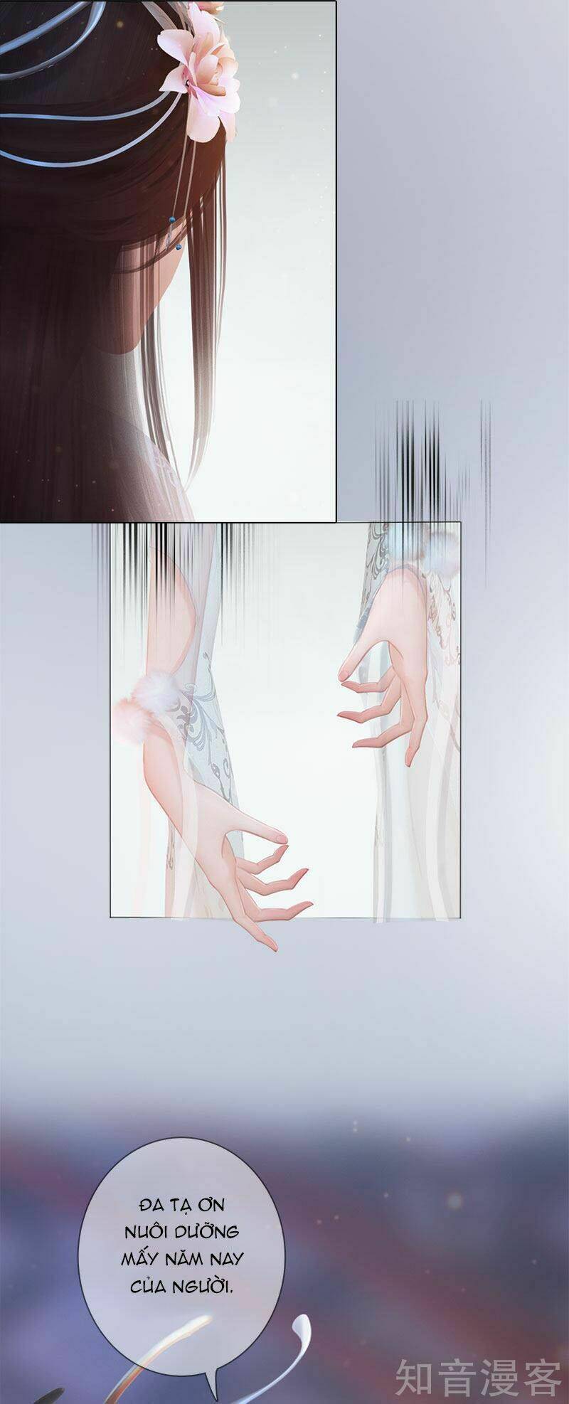 đồng tâm kết chapter 6 16