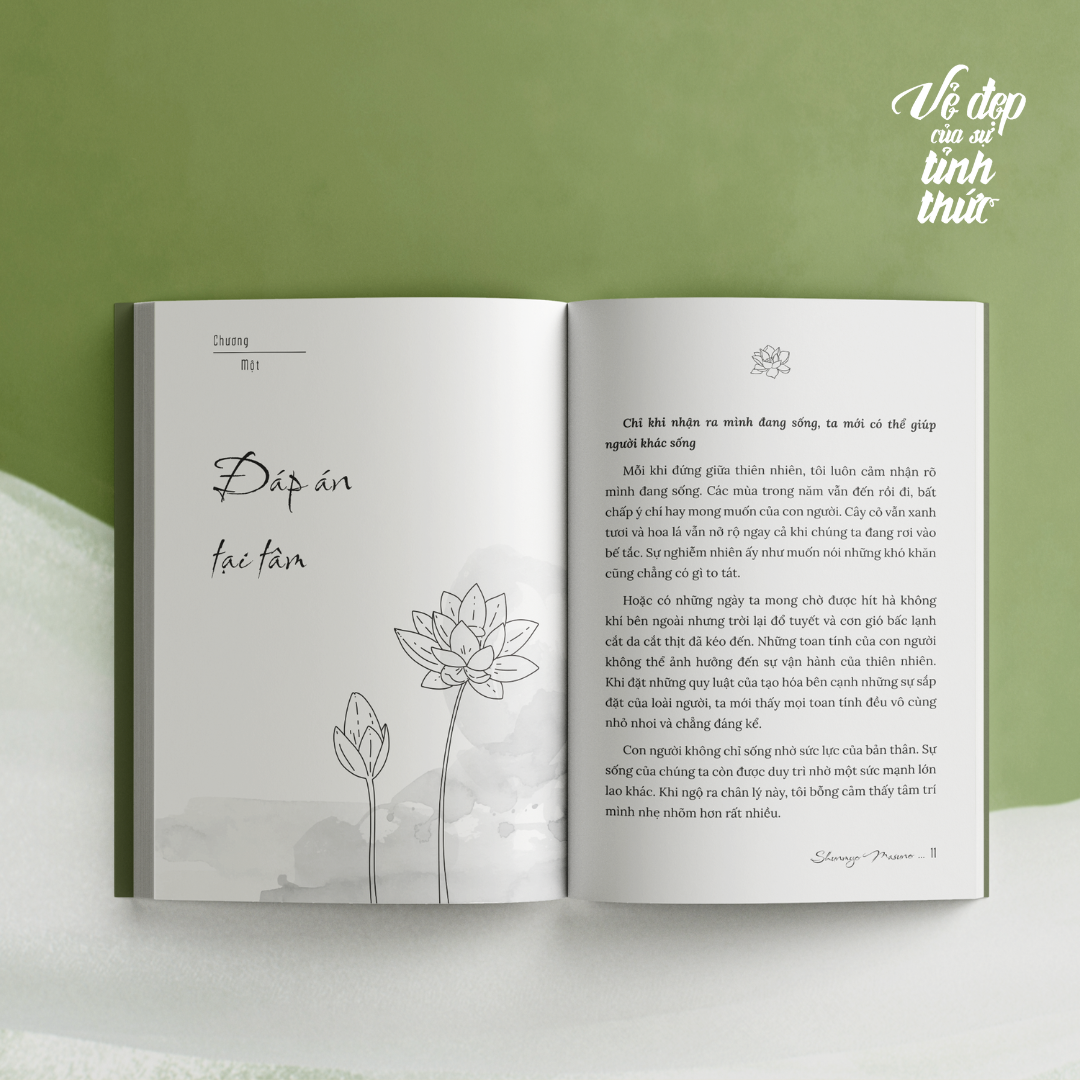 Sách - Vẻ Đẹp Của Sự Tỉnh Thức