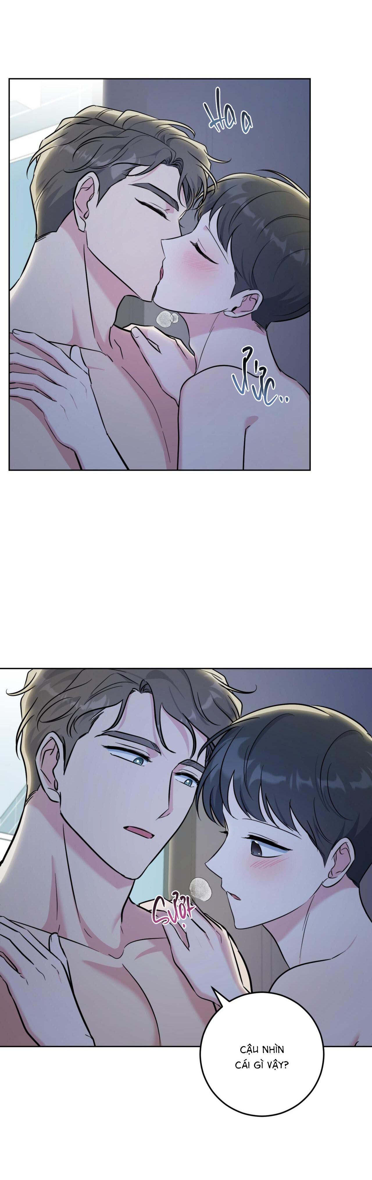 khu rừng tĩnh lặng chapter 19 22