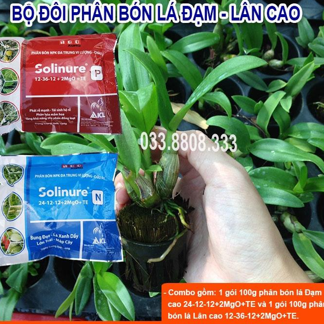 BỘ PHÂN BÓN DÙNG CHO CÂY CON SOLINURE P&N giúp cây phát triển nhanh