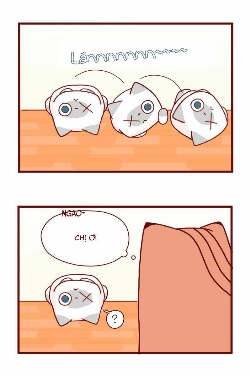 saphie: chú mèo một mắt chapter 18 3