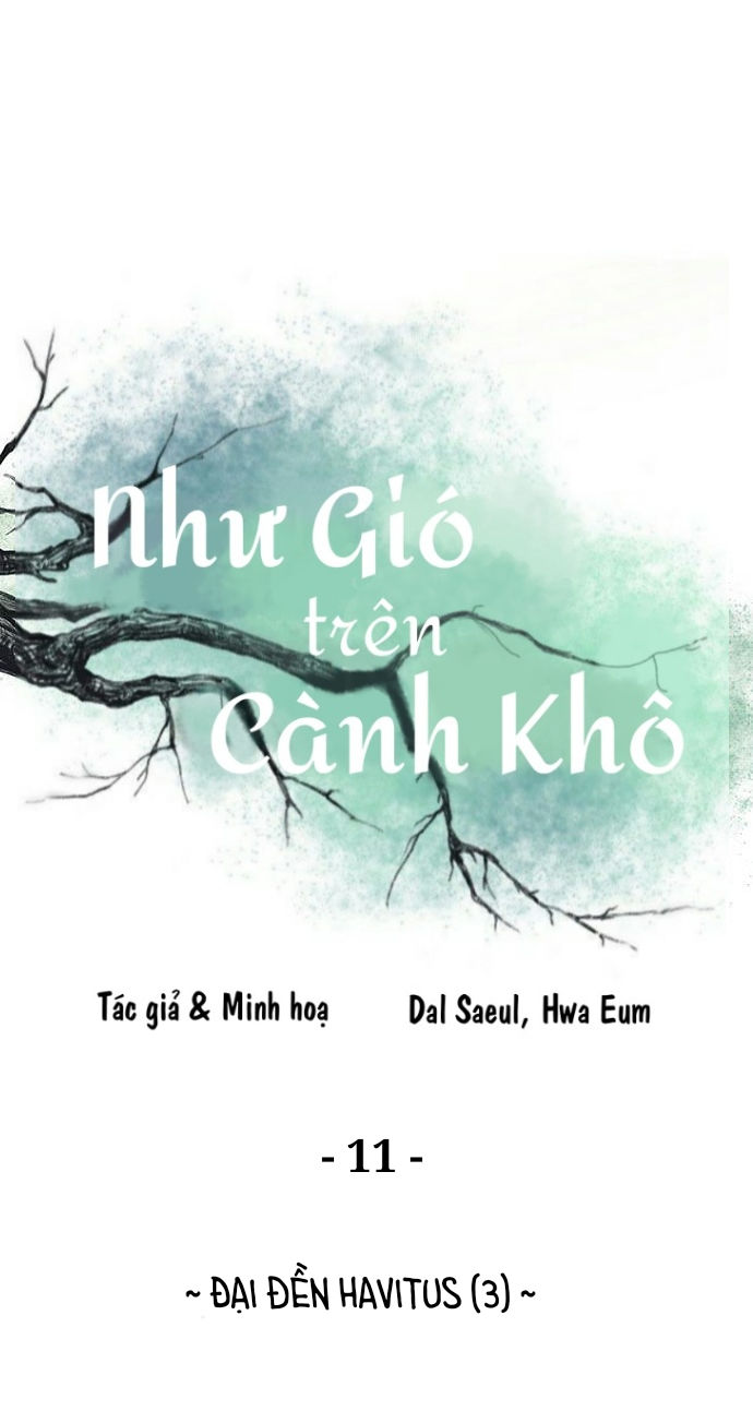 như gió trên cành cây khô chapter 11 1